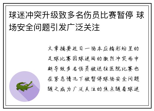 球迷冲突升级致多名伤员比赛暂停 球场安全问题引发广泛关注